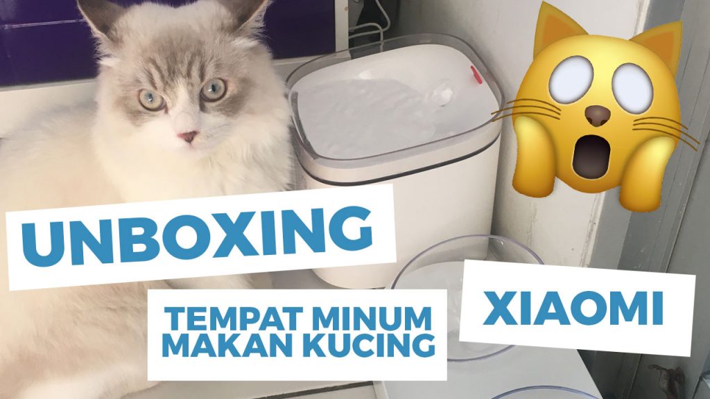 UNBOXING TEMPAT MINUM KUCING XIAOMI BERSAMA SHIRO