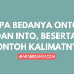 Apa Bedanya Onto dan Into, Beserta Contoh Kalimatnya YUDICHU APABEDANYACOM BELAJAR BAHASA INGGRIS