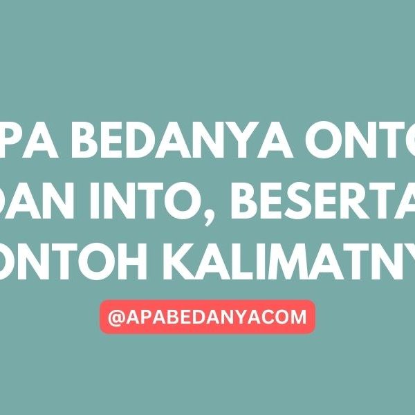 Apa Bedanya Onto dan Into, Beserta Contoh Kalimatnya YUDICHU APABEDANYACOM BELAJAR BAHASA INGGRIS