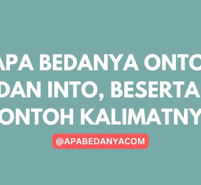 Apa Bedanya Onto dan Into, Beserta Contoh Kalimatnya YUDICHU APABEDANYACOM BELAJAR BAHASA INGGRIS