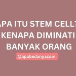 Apa itu Stem Cell? Kenapa Diminati Banyak Orang