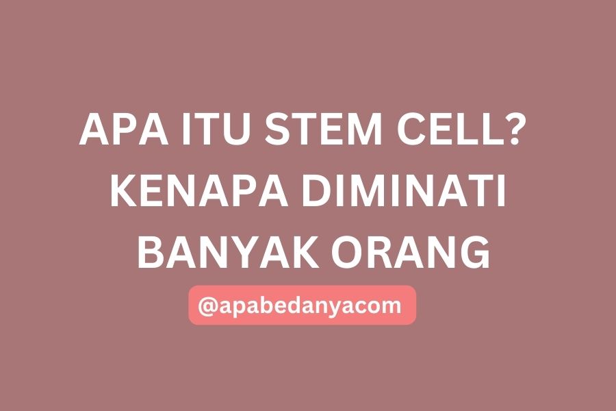 Apa itu Stem Cell? Kenapa Diminati Banyak Orang