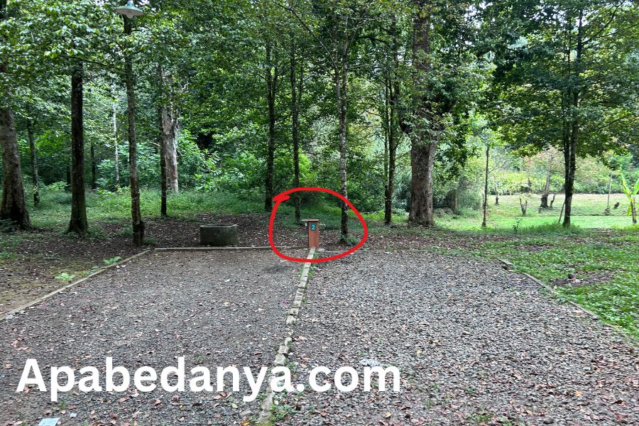 Pengalaman Camping di Hejo Forest Bandung