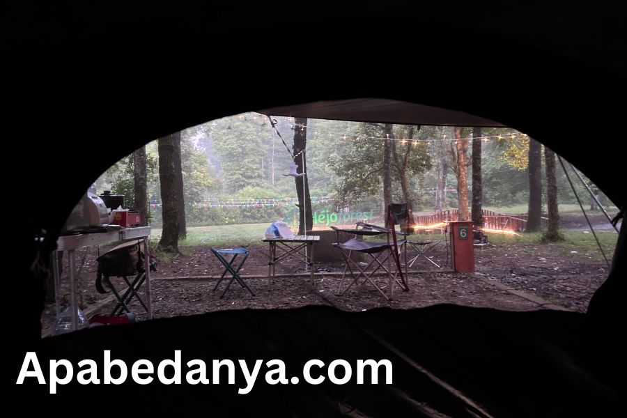 Pengalaman Camping di Hejo Forest Bandung