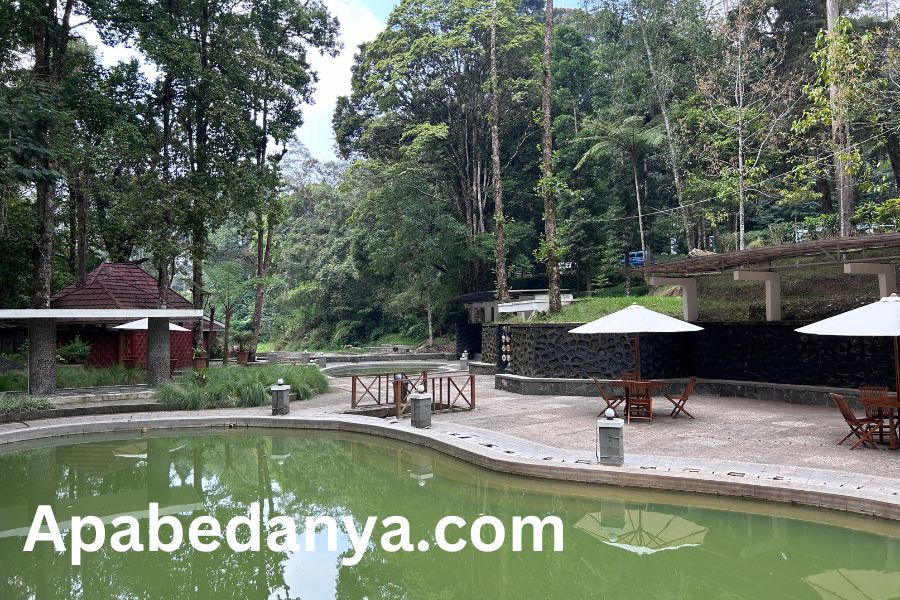 Pengalaman Camping di Hejo Forest Bandung