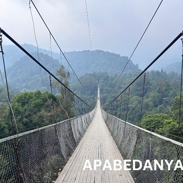 Pengalaman Wisata Alam ke Situgunung Sukabumi, Ada Jembatan Gantung dan Air Terjun