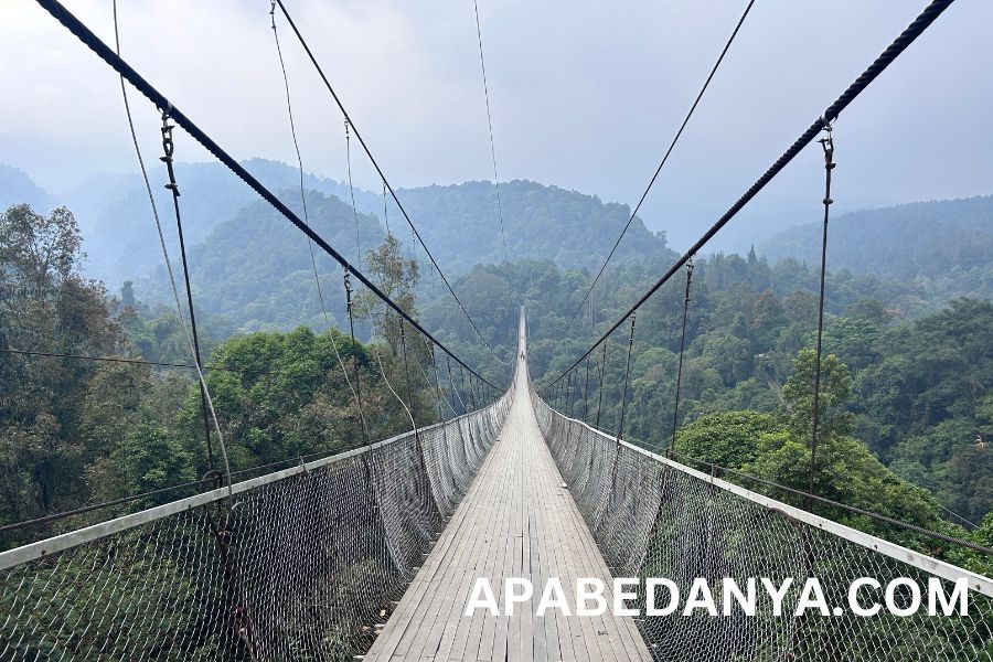 Pengalaman Wisata Alam ke Situgunung Sukabumi, Ada Jembatan Gantung dan Air Terjun