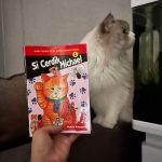 Review Komik Si Cerdik Michael, Kucing Oren Gendut yang Jenaka