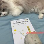 Review Buku The Little Prince karya Antoine de Saint-Exupéry