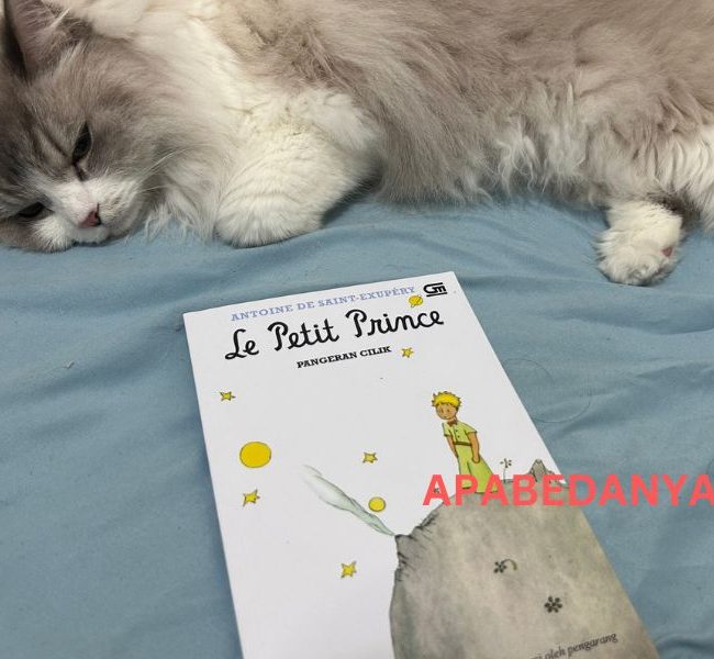 Review Buku The Little Prince karya Antoine de Saint-Exupéry