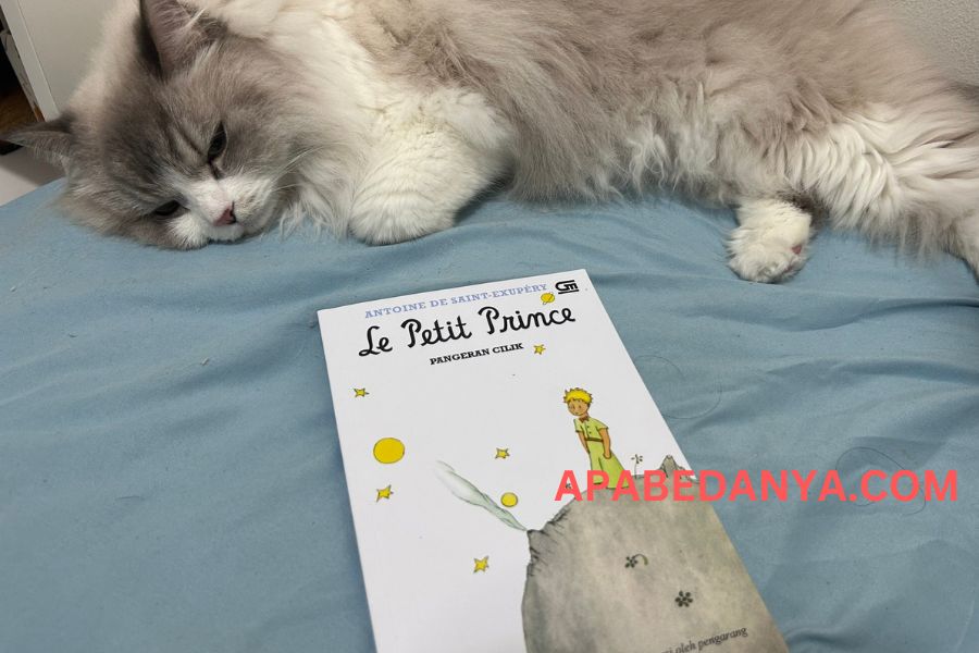 Review Buku The Little Prince karya Antoine de Saint-Exupéry