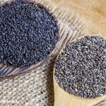 Apa Bedanya Biji Selasih dengan Chia Seed