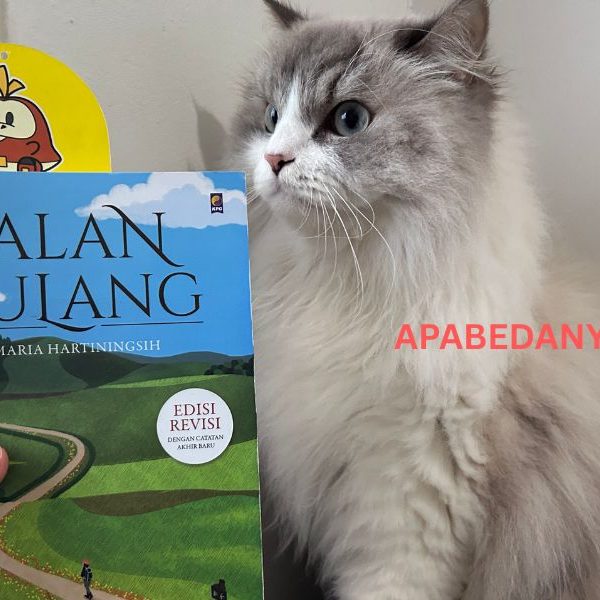 Review Buku Jalan Pulang karya Maria Hartiningsih