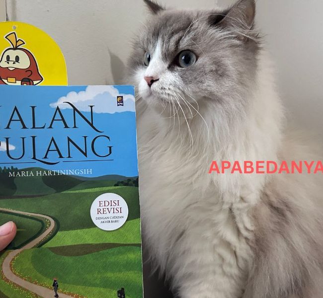 Review Buku Jalan Pulang karya Maria Hartiningsih