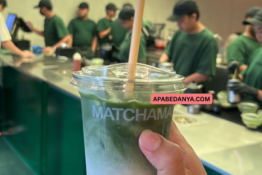 Apa Bedanya Matcha dan Green Tea