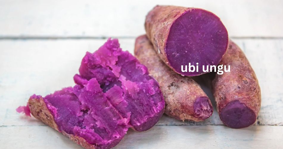 Apa Bedanya Ubee dengan Ubi Ungu yudichu apabedanyacom tri wahyudi