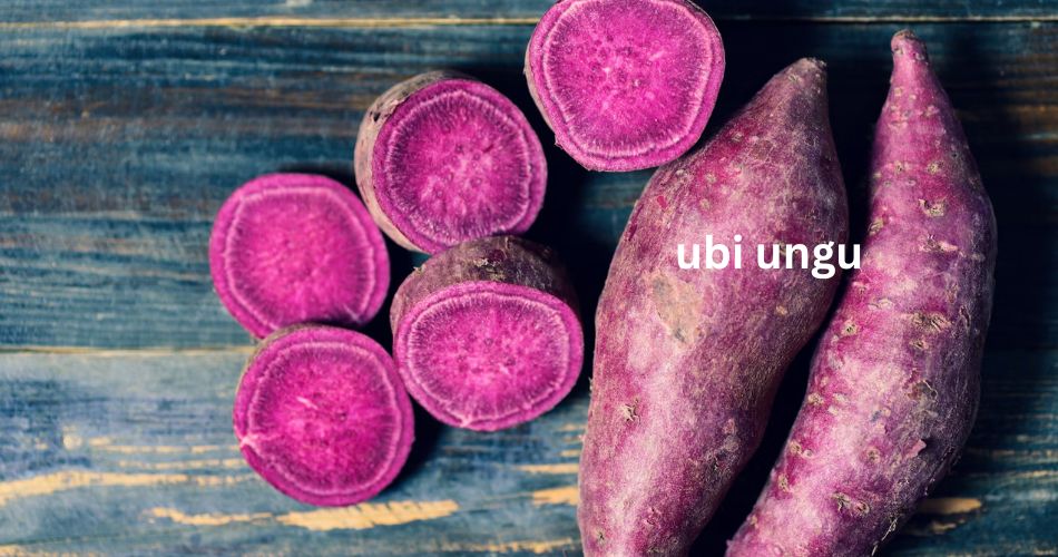 Apa Bedanya Ubee dengan Ubi Ungu yudichu apabedanyacom tri wahyudi