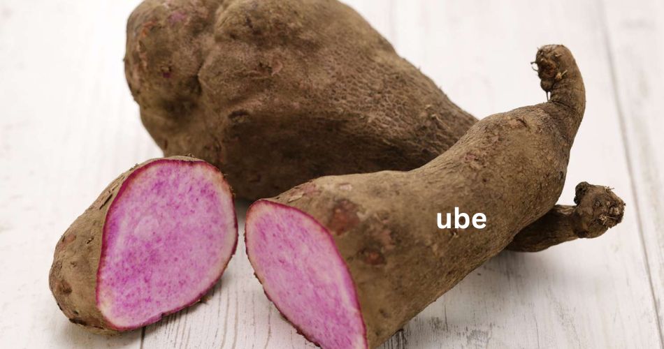 Apa Bedanya Ubee dengan Ubi Ungu yudichu apabedanyacom tri wahyudi